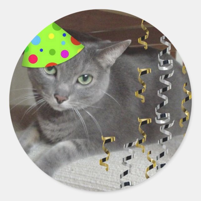 Party Animal Grey Cat Classic Round Sticker (Front)