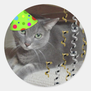 Party Animal Grey Cat Classic Round Sticker