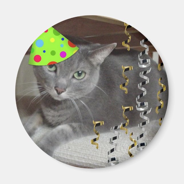 Party Animal Grey Cat Magnet (Front)