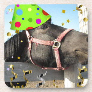 Party Animal Horse Coaster