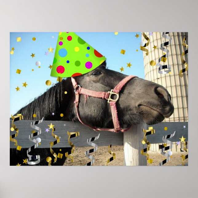 Party Animal Horse Poster (Front)