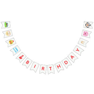 Party Animals Ready to Play Balls Rustic Farm  Bunting