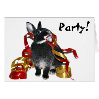 Party bunny