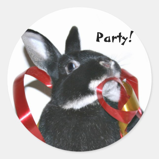 Party Bunny Classic Round Sticker (Front)