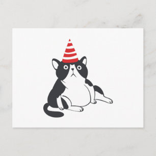 Party cat - Choose background colour Postcard