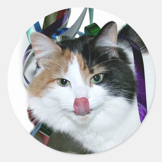 Party cat classic round sticker (Front)