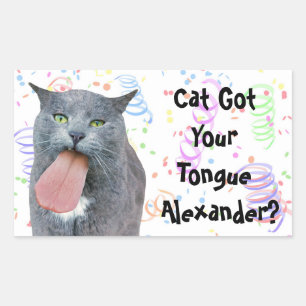 Party Cat Got Your Tongue? Rectangular Sticker
