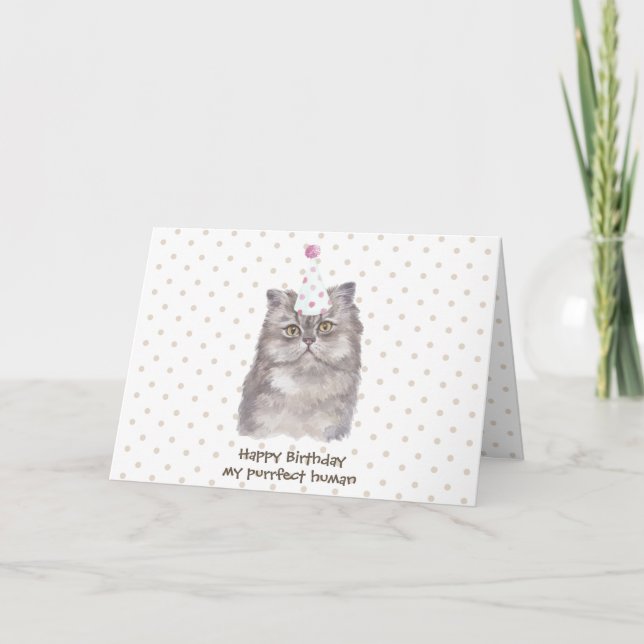 Party celebration Hat Persian Cat Birthday Card (Front)