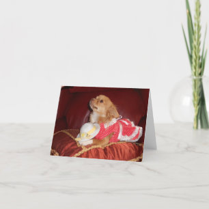 party chi card