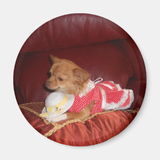 party chi magnet