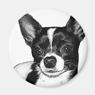 Party Chihuahua Magnet