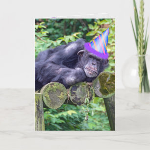 party chimpanzee for humourous birthday card
