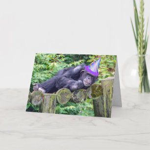 party chimpanzee for humourous birthday card