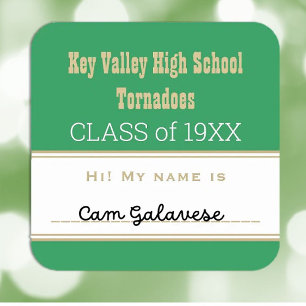 Party! Custom Class Reunion name tag Sticker