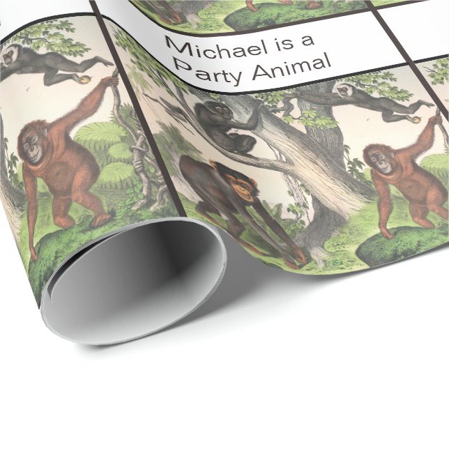 Party gift wrapping Monkey Chimpanzee Vintage Wrapping Paper (Roll Corner)