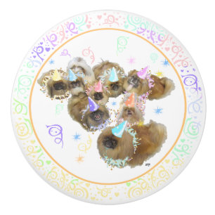 Party Group Ceramic Knob