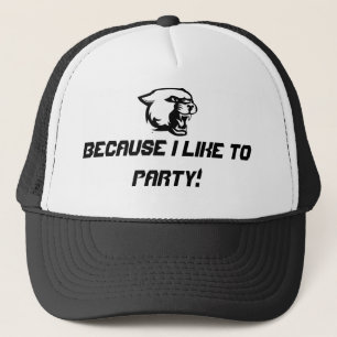 Party hat