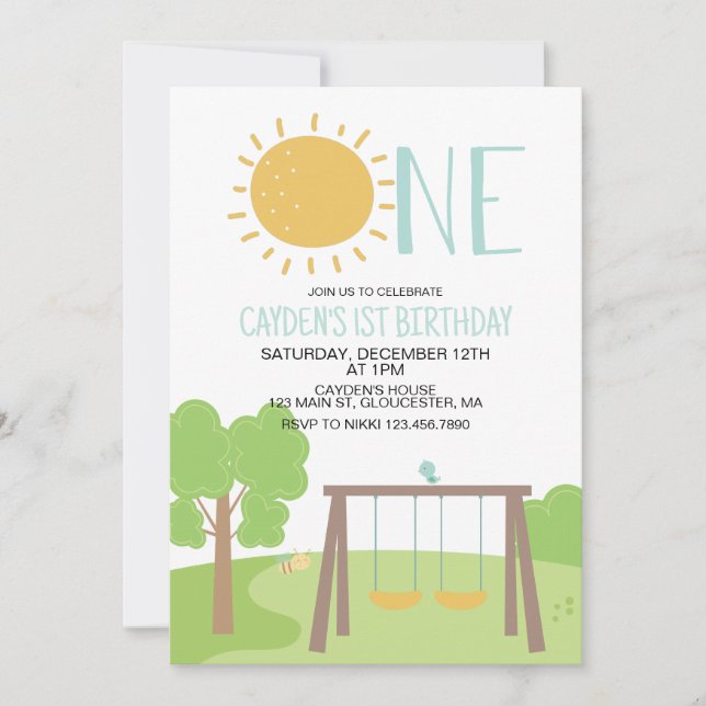 Party in the Park Playground 1st Birthday Invitation (Front)