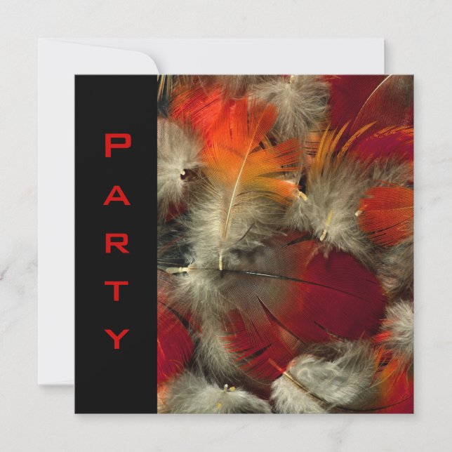 Party Invitation All Occasions Feathers Black Red (Front)