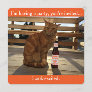 Party invitation featuring an orange cat