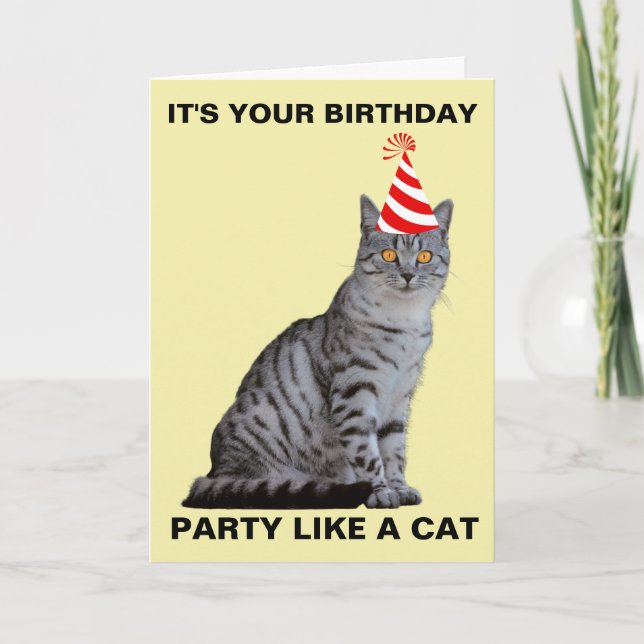 PARTY LIKE A CAT BIRTHDAY CARD (Front)