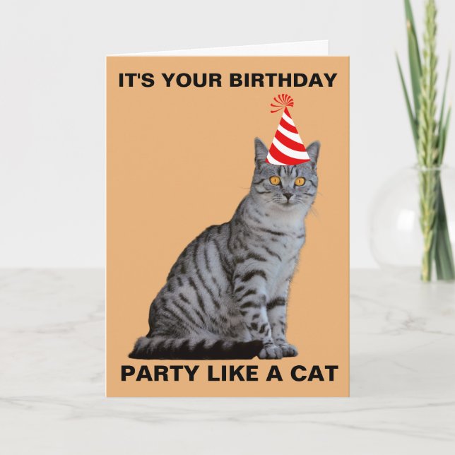 PARTY LIKE A CAT BIRTHDAY CARD (Front)