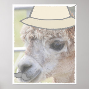 Party Llama with a moustache Poster