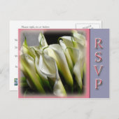 Party or wedding RSVP postcards - Calla Lilies (Front/Back)