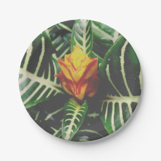 Party Paper Plates Tropical Vibes