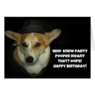 Party pooper corgi