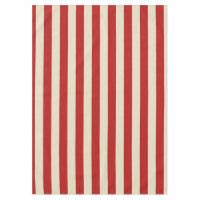 Party Popcorn Stripes