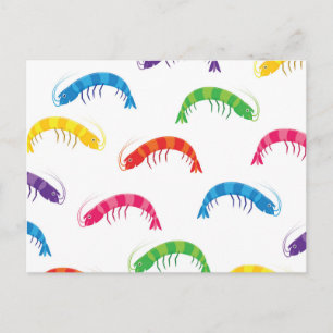 Party Prawns Invitation Postcard