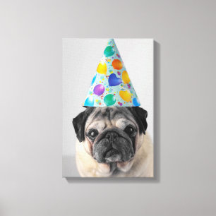 Party Pug Canvas Print