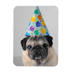 Party Pug Magnet
