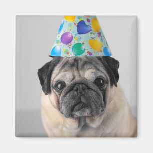 Party Pug Magnet