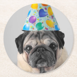 Party Pug Round Paper Coaster