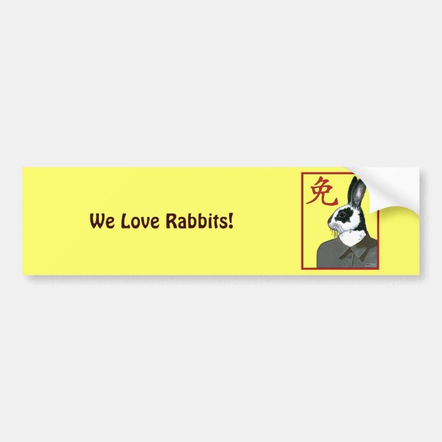 Party Rabbit Bumper Sticker (Front)