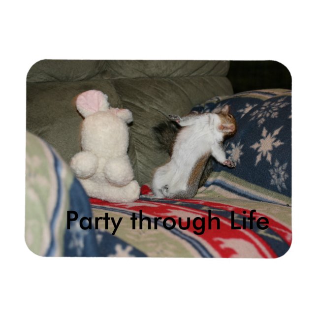 Party through Life Magnet (Horizontal)