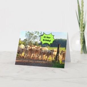 Party Til The Cows Come Home Birthday Card