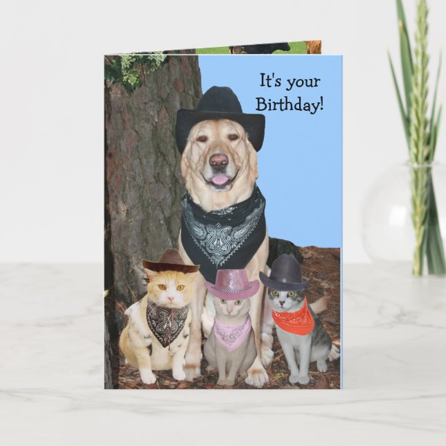 Party 'til the cows come home! card (Front)