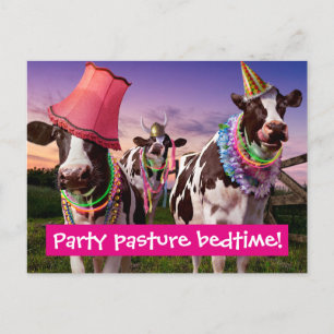 Party 'Til The Cows Come Home Invitation Postcard
