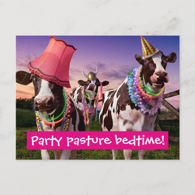 Party 'Til The Cows Come Home Invitation Postcard (Front)
