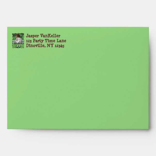 Party Time Appaloosa Horse Envelope (Front)