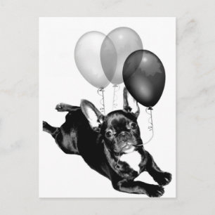 Party time French Bulldog postcard