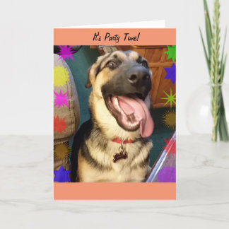 Party Time Happy Dog Birthday Card