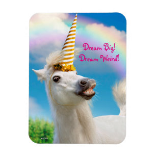 Party Unicorn Horse And Rainbow Magnet