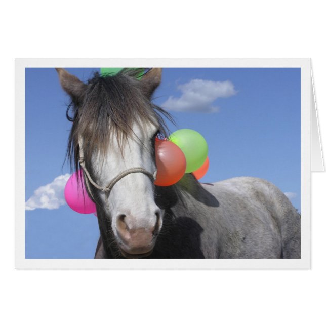 PartyAnimal (Front Horizontal)