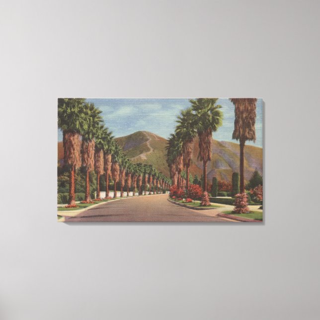 Pasadena, CA - Residental Street Scene & Palms Canvas Print (Front)
