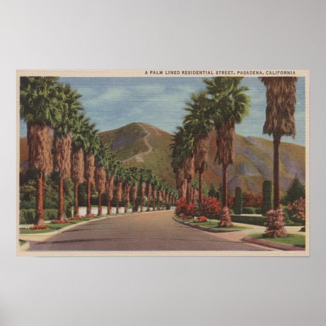 Pasadena, CA - Residental Street Scene & Palms Poster (Front)