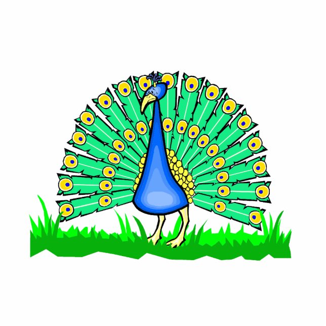 Pascal Peacock Standing Photo Sculpture (Front)